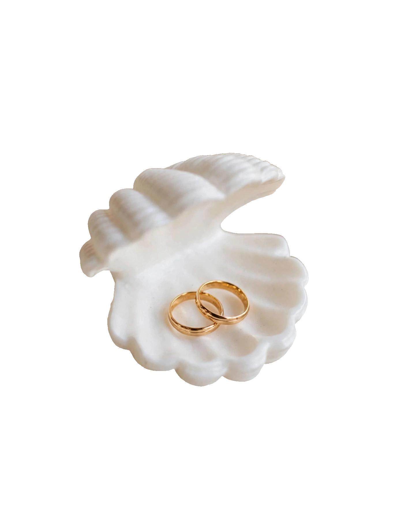 Porte-Alliances Coquillage Blanc - Boîte à Alliances Mariage Bohème Chic - Fait Main
