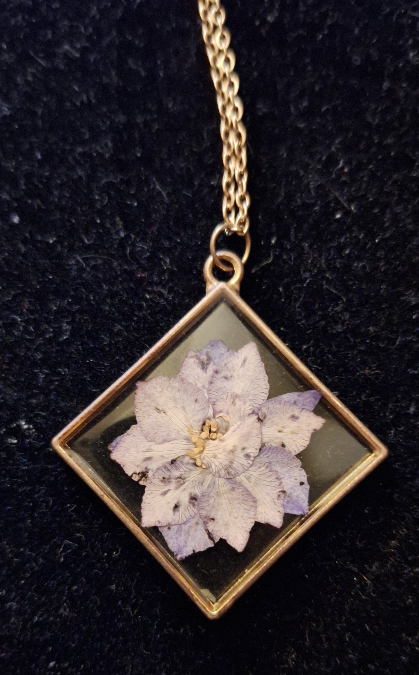 Collier Pendentif Carré Doré - Véritable Fleur Séchée Parme